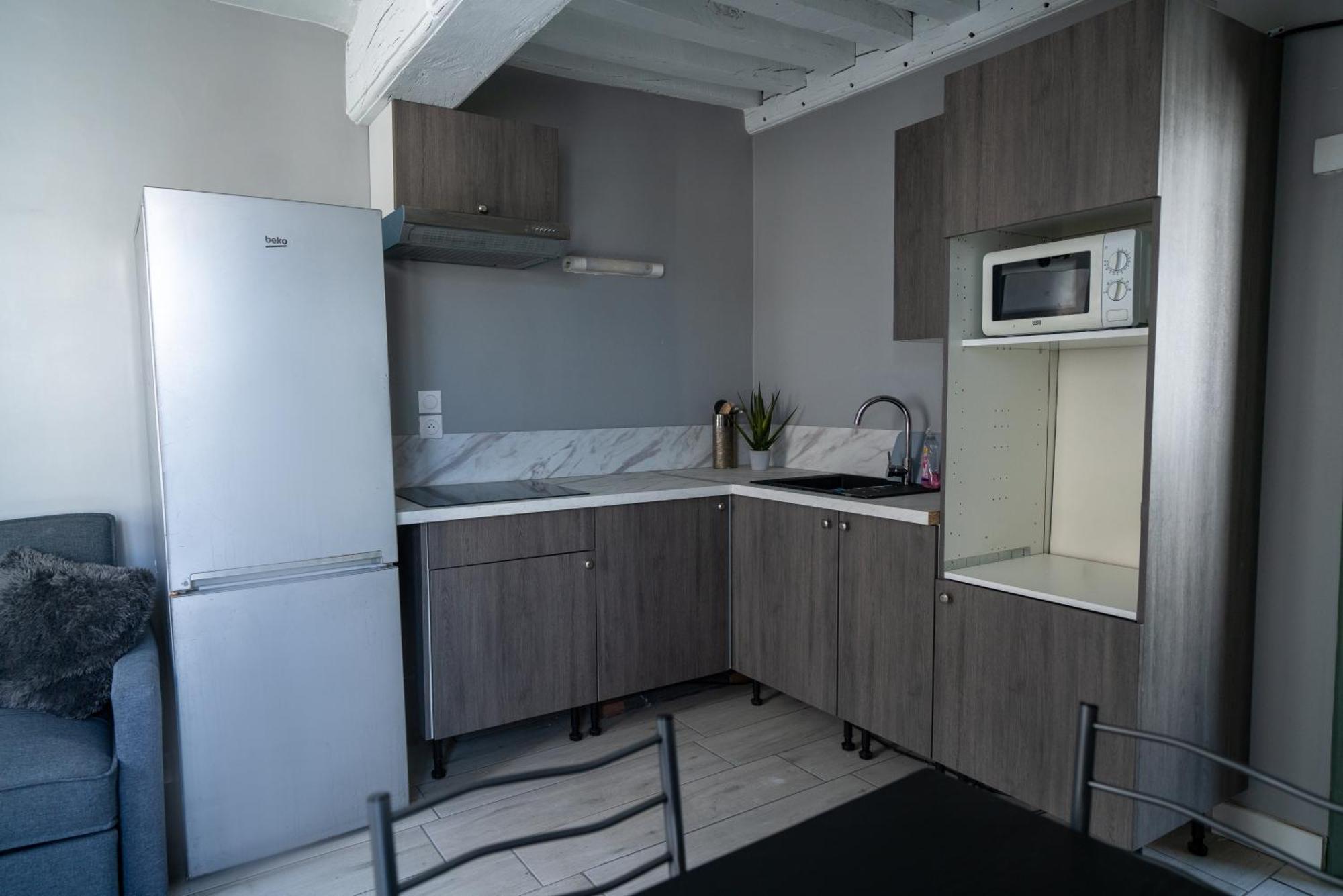 Celeste Appart - Grand Appartement Centre Ville - Refait A Neuf Orleans Exterior photo
